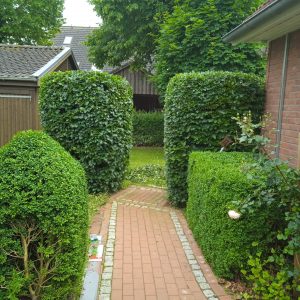 Gartenpflege