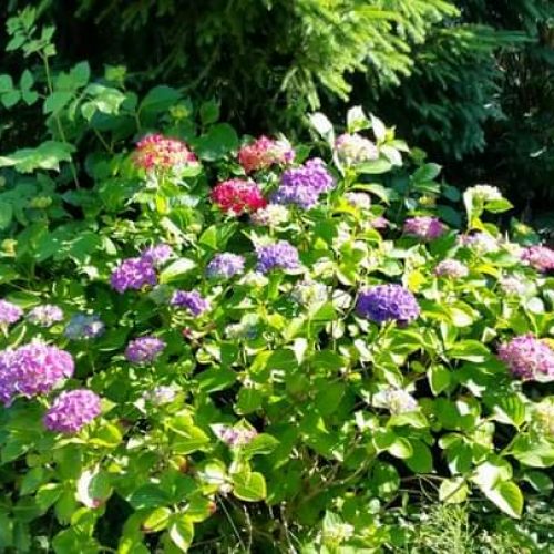 WhatsApp Image 2024-01-30 at 20.43.15