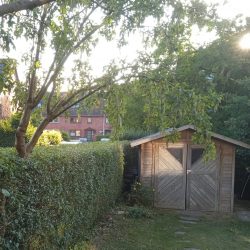 „Herr Raphael arbeitet schnell und präzise.“ - Christine