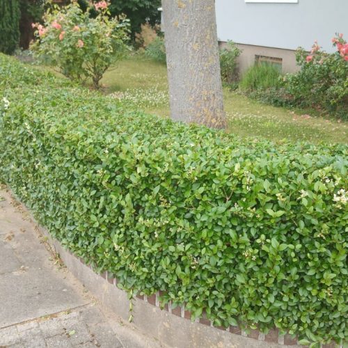 WhatsApp Image 2024-02-19 at 22.42.08