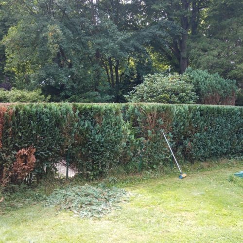 WhatsApp Image 2024-02-19 at 22.43.58