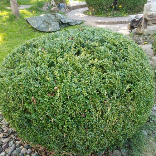 WhatsApp Image 2024-02-19 at 22.43.59