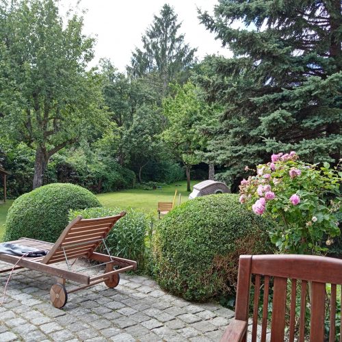 WhatsApp Image 2024-02-19 at 22.44.01