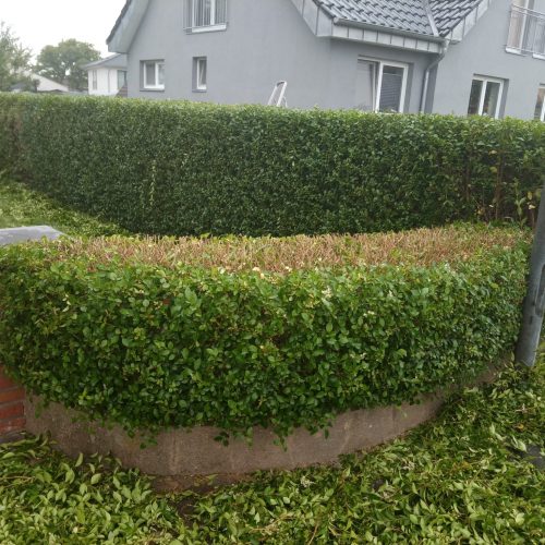 WhatsApp Image 2024-02-19 at 22.44.02 (1)