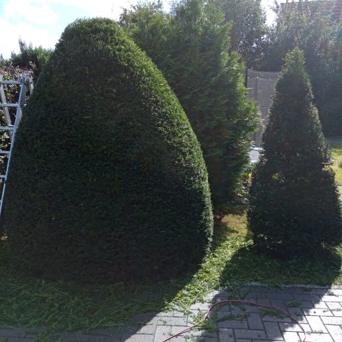 WhatsApp Image 2024-02-19 at 22.44.02