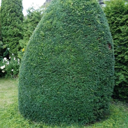 WhatsApp Image 2024-02-19 at 22.44.03 (2)