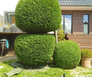 WhatsApp Image 2024-11-05 at 21.09.22